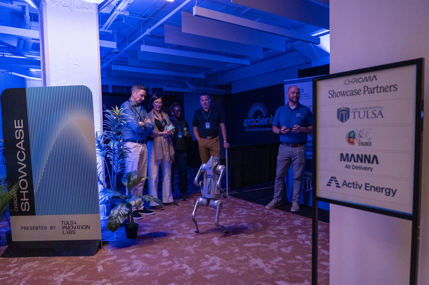 Matchmaking, showcase & VIP